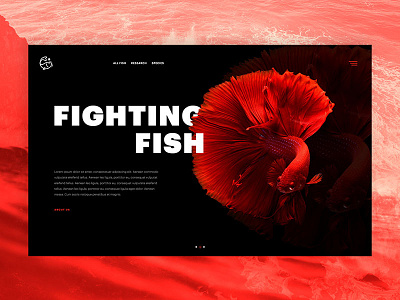 Fighting Fish design design art flat minimal minimalist ui design ux web webdesign website design