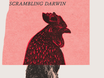 Scrambling Darwin collage dover illustration