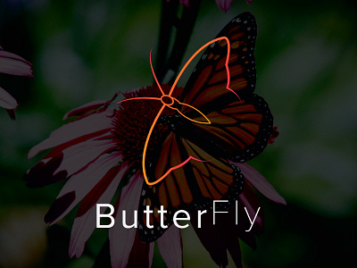 butter fly logo butterfly logo logodesign new