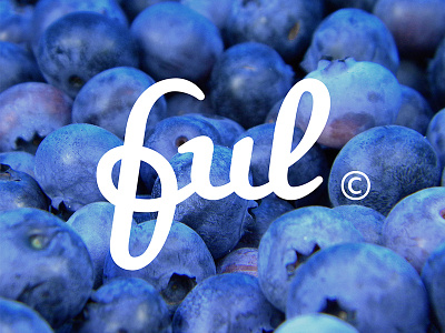 ful branding food iconography icons international lettering logo photography symbols type typography universal