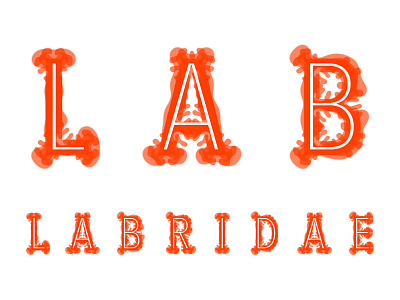 L A B R I D A E coral diffusion letter lettering orange organic reaction reef type typography
