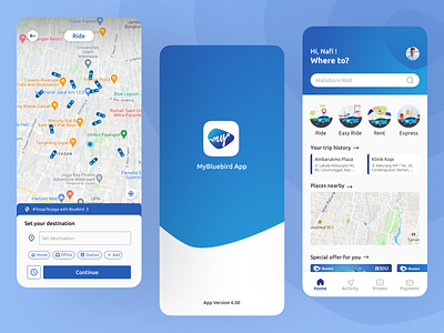 My Bluebird App Redesign