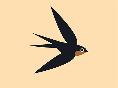 Swallow bird illustration swallow vector