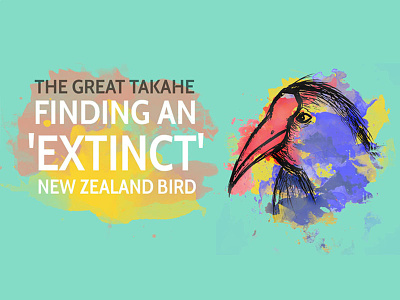 The Great Takahe bird design doodle ixdbelfast national geographic new zealand takahe