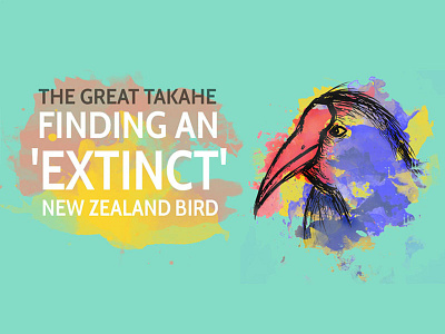 The Great Takahe