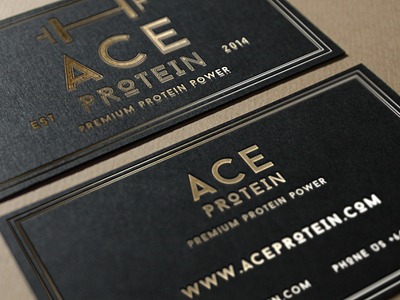 ACE logo identity design illustration logo typography