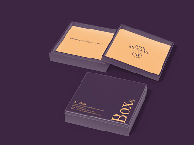 Box Square Mockup branding design logo