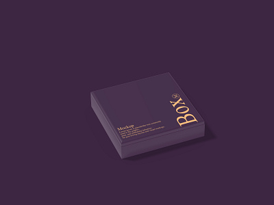 Box Square Mockup branding design