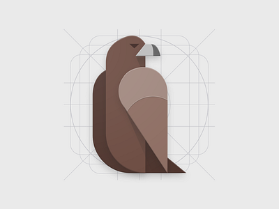 Hawk - Material Design Logo bird birds brown dark design google hawk latest logo material materialize modern