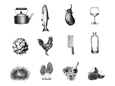 Culinary Illustrations