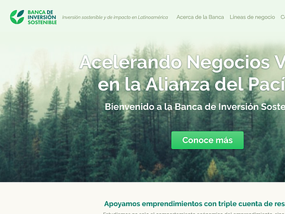 Banca de Inversión Sostenible finance green landing logo design web design