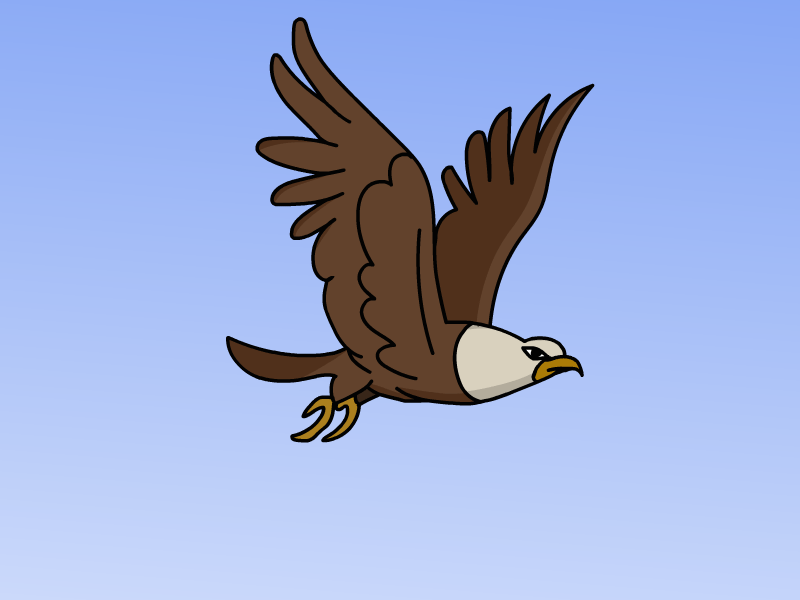 Flaying Bird 2d animation bird motion graphics