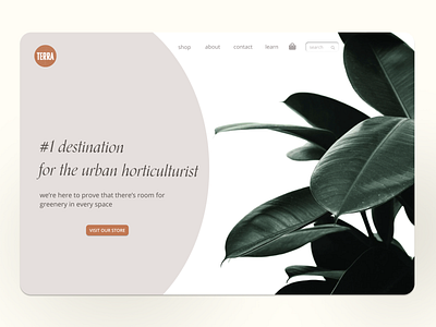 Landing page for urban plant boutique
