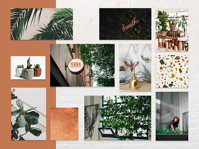 Moodboard for urban plant boutique