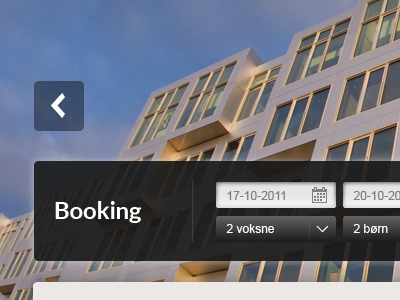 Detail booking drop down hotel input field