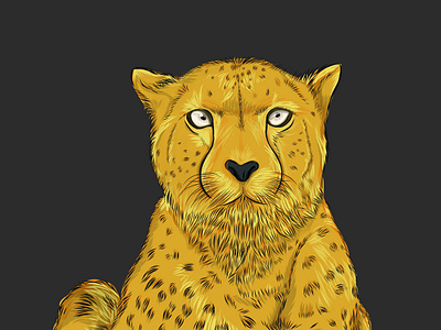 cheetah illustration illustration vector