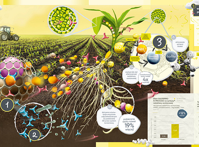 N-Process branding case study graphic design key key visual kv