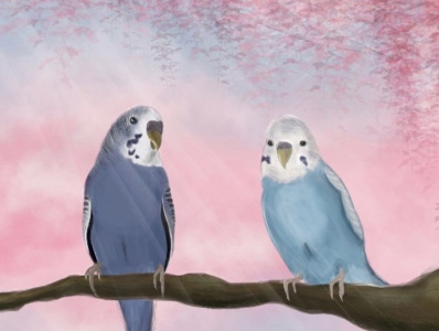 Two birds on a branch digitalart digitalpainting illustration photoshop photoshopartwork