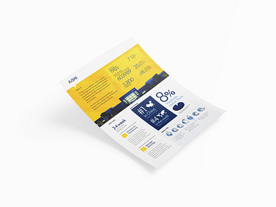 Company One Pager Flyer flyer graphic design infographics minimal