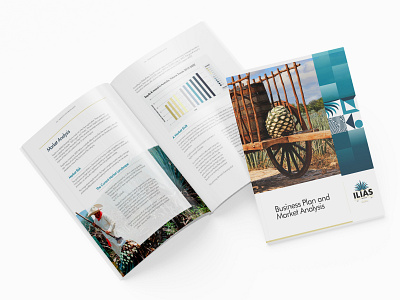 Business Plan and Marketing Analysis Report Design brochure graphic design minimal print media publication report design