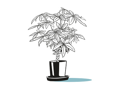 plant bb #2 design illustration vector