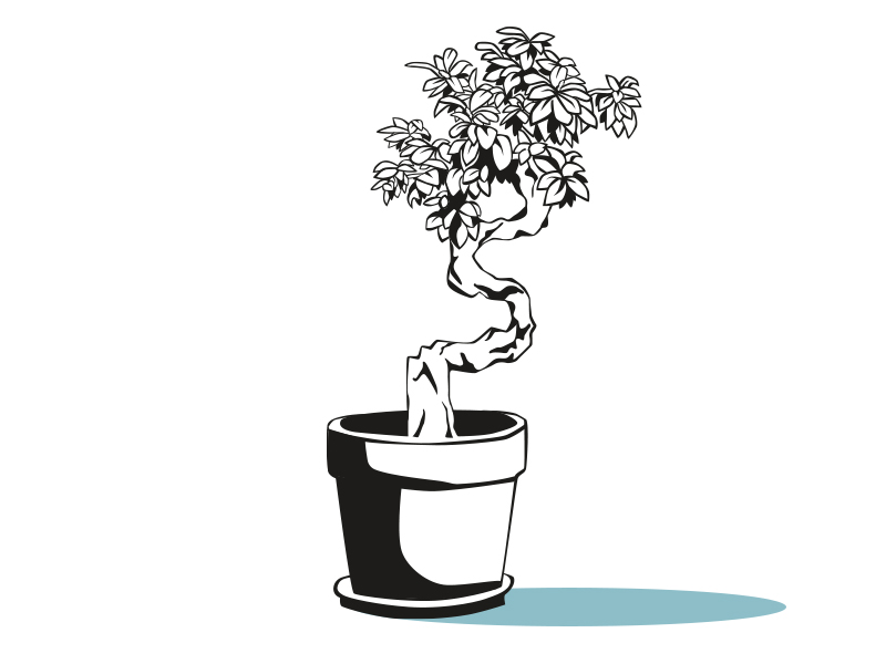 plant-bb-1-by-jen-beck-on-dribbble