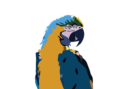 Parrot (Vector Image) design illustration vector