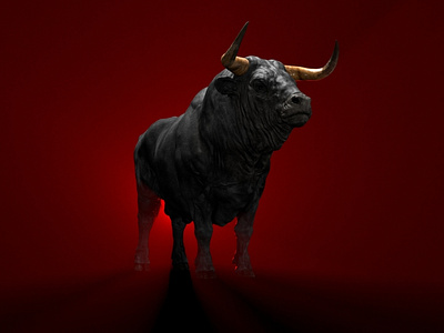 Bull