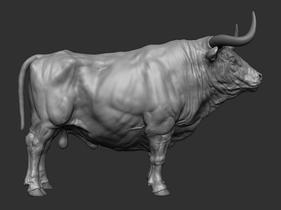 Bull digitalsculpting sculpt zbrush