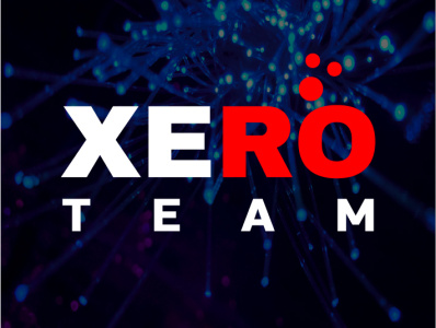 Xero Team IT logo design graphic design illustration logo vector