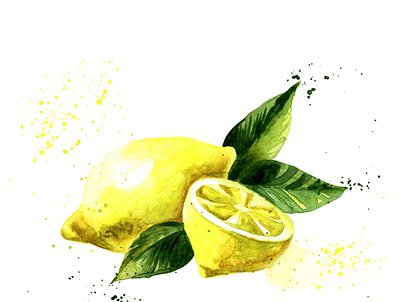 A beautiful lemon watercolor, with a splash on a white art beautiful beverage citrus color design drawing drink food fresh fruit full green half healthy icon illustration image ingredient isolated