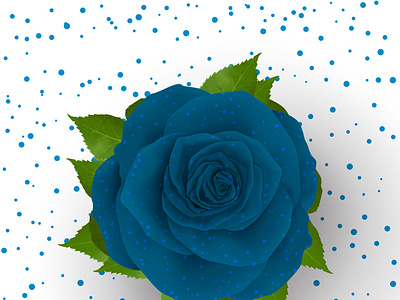 Beautiful realistic Rose Illustration design