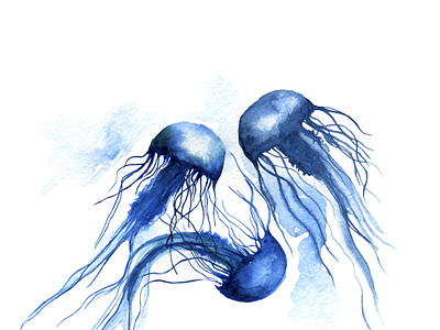 Watercolour with jellyfish with splashes