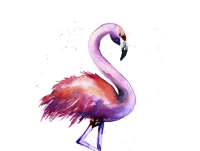 Watercolour of flamingos abstract africa animal aquarelle art artistic background beach beautiful beauty bird bright card cartoon color colorful cute decoration design drawing