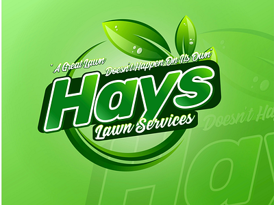 Hays Lawn Services