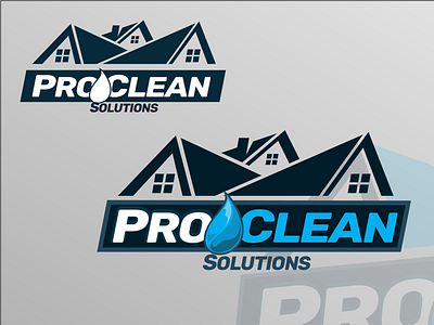 Pro Clean Solutions