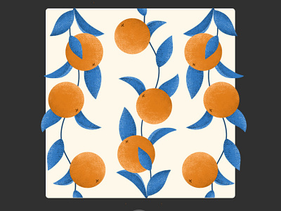 oranges design digital illustration digitalart graphic graphic design illustration