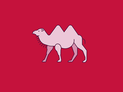 Camel animal branding camel design flat icon illustration line logo minimal vector