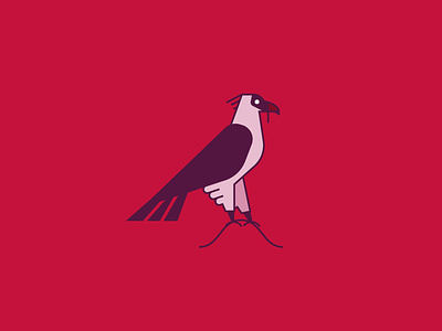 Eagle animal branding design eagle flat icon illustration line logo minimal vector