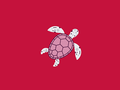Turtle animal design flat icon illustration line logo minimal sea turtle vector