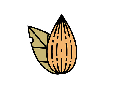 Almond Icon almond design graphic icon vector