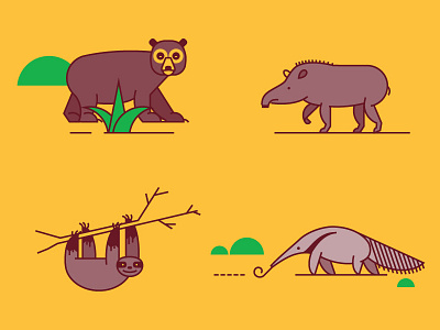 Colombian Animals animal anteater bear colombia flat line sloth tapir vector