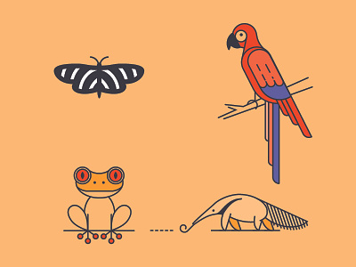 Costa Rica Animal Icons animal butterfly costa rica flat frog icon illustration line linear map parrot vector