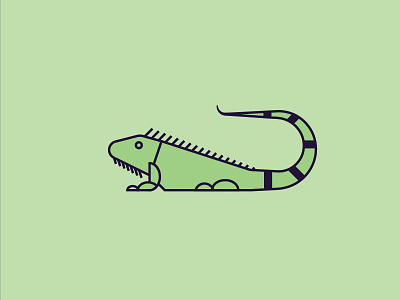 Iguana flat icon iguana illustration jamaica line minimal reptile vector