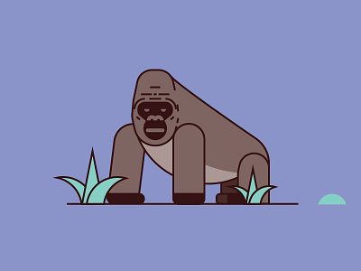 Gorilla