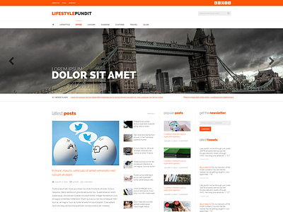 Lifestylepundit blog layout blog clean design orange website