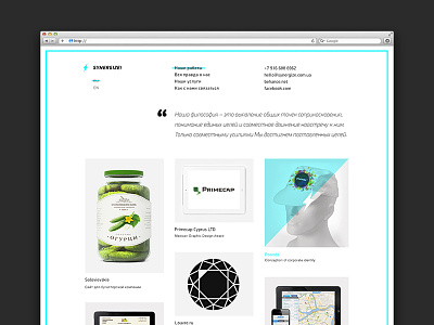 Synergize web-site agence basov basovdesign minimal portfolio studio synergize ukraine web web site webdesign white