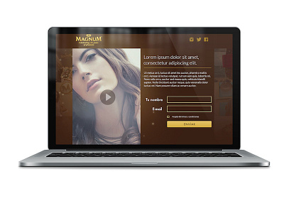 Landing Page Magnum Party