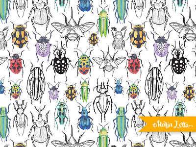 Naturalist bright bug contour insect marialetta marker nature pattern seamless spring surface design