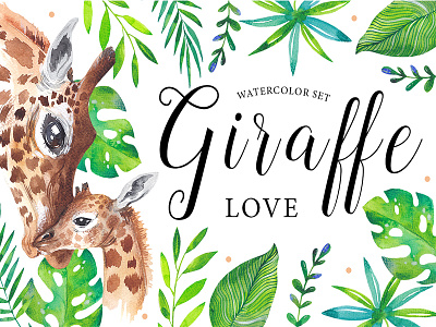 Giraffe love